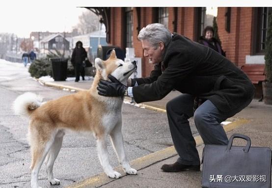 今日科普一下！黑吃黑第一季电视剧免费观看全集,百科词条爱好_2024最新更新