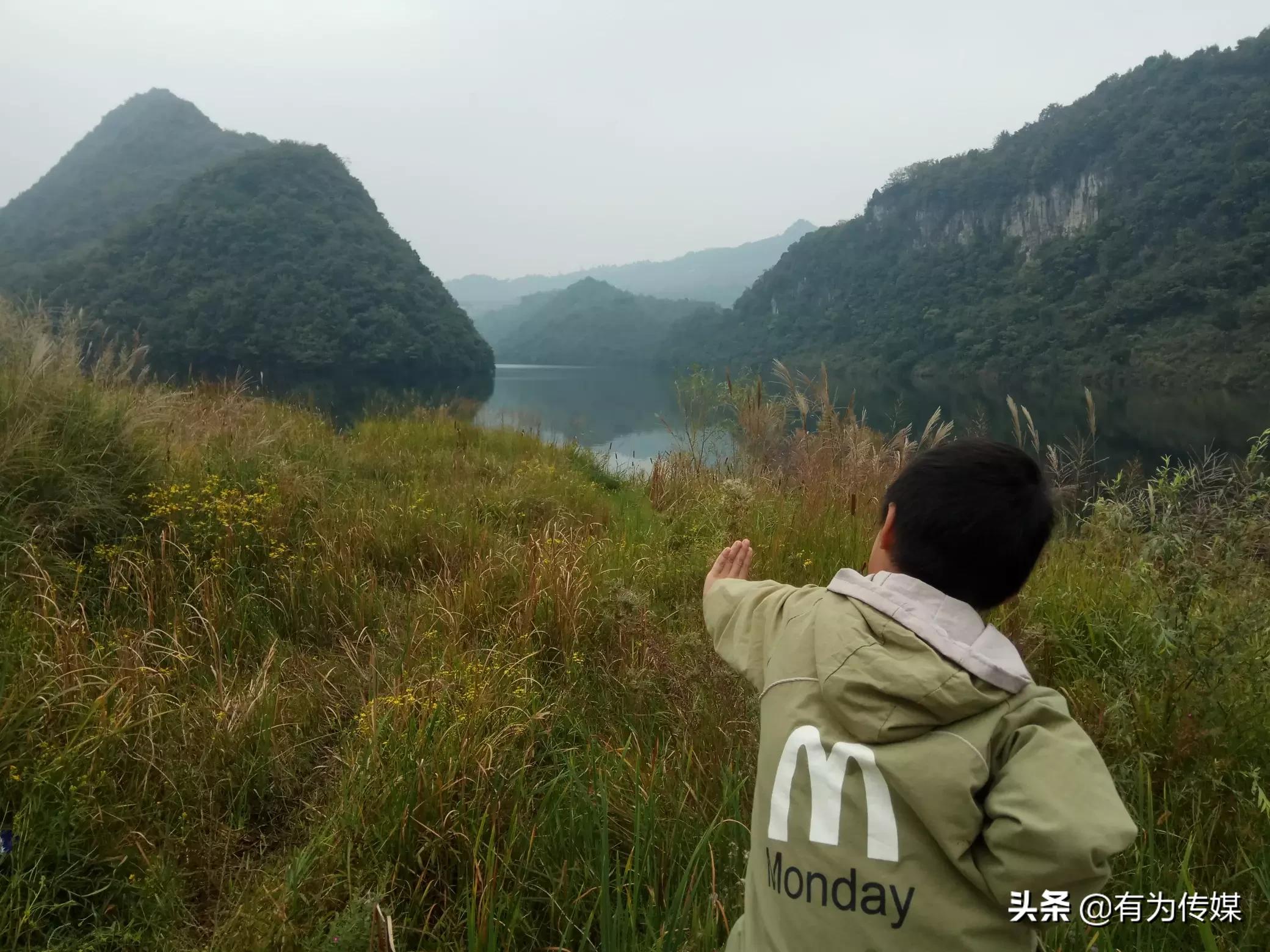 今日科普一下！一一影视网在线电影,百科词条爱好_2024最新更新