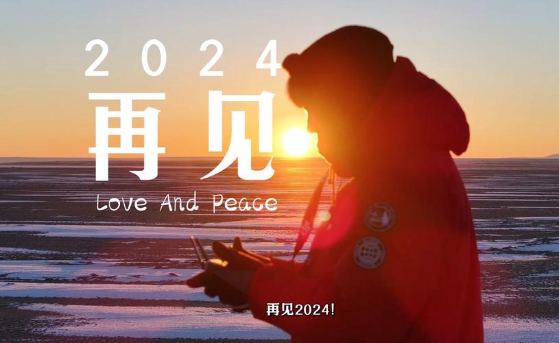 今日科普一下！再见，总有一天,百科词条爱好_2024最新更新