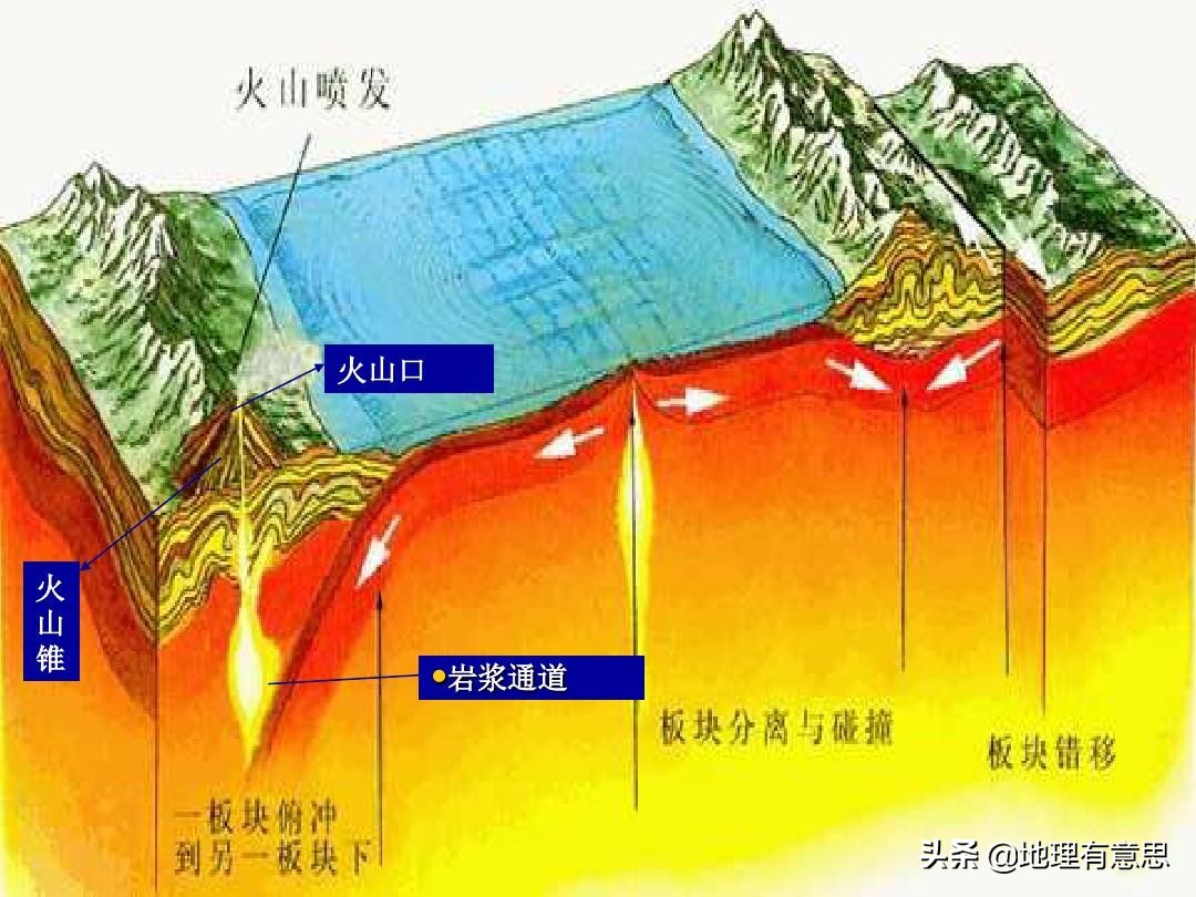 今日科普一下！2023年北美电影排行榜,百科词条爱好_2024最新更新