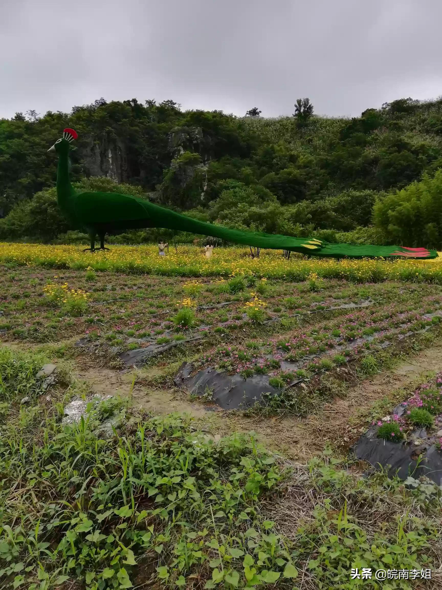 今日科普一下！等你已久免费观看电视剧,百科词条爱好_2024最新更新